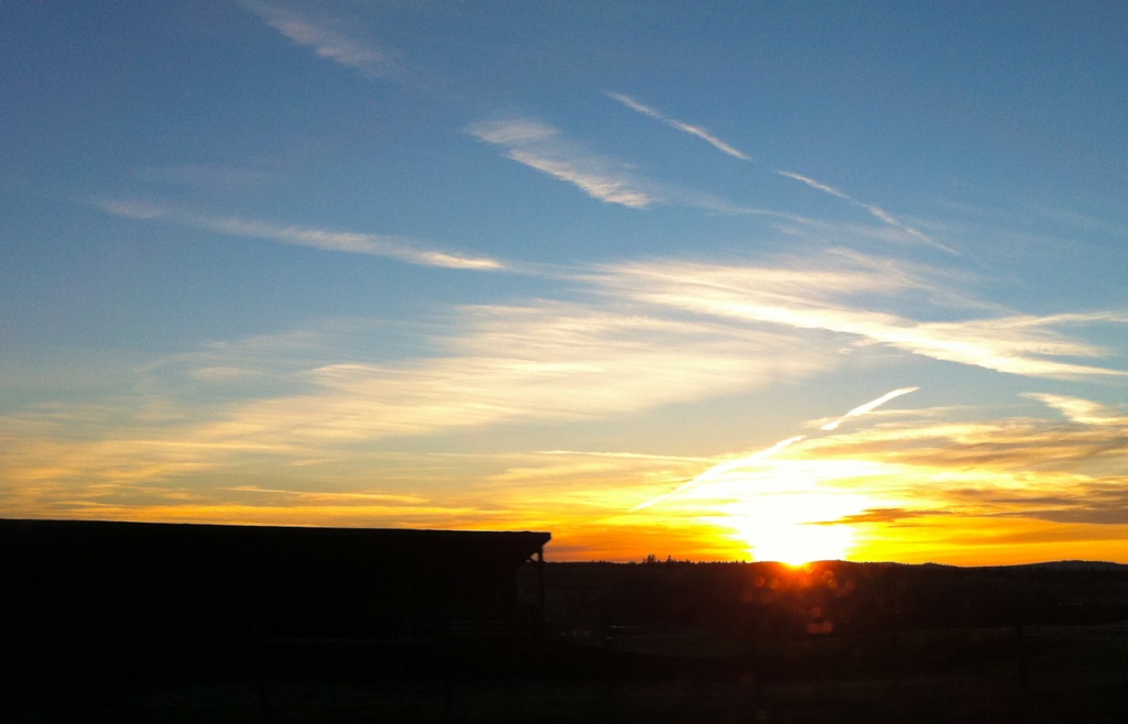 Clouds and Contrails and Sunset, Oh My! by marilyn