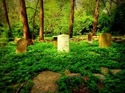 22nd Apr 2012 - Peaceful Resting Place