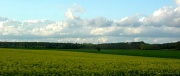 21st Apr 2012 - Landscape from the car #2