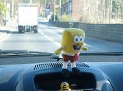 21st Apr 2012 - Sponge Bob and Norman 