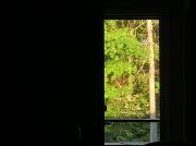22nd Apr 2012 - Bedroom Door