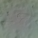Footprints In Guimaras by iamdencio