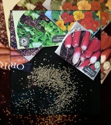 23rd Apr 2012 - seed mix surprise