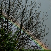 22nd Apr 2012 - Rainbow