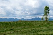 24th Apr 2012 - Colorado Mountains
