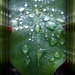 Droplets by mozette