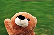 23rd Apr 2012 - Teddy Bear Spin