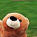 Teddy Bear Spin by kwind
