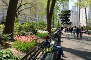 19th Apr 2012 - Central Park