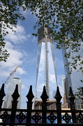 21st Apr 2012 - Freedom tower