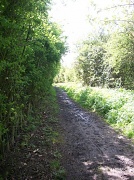 23rd Apr 2012 - Another footpath!
