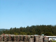 24th Apr 2012 - Crab Pots and Geese