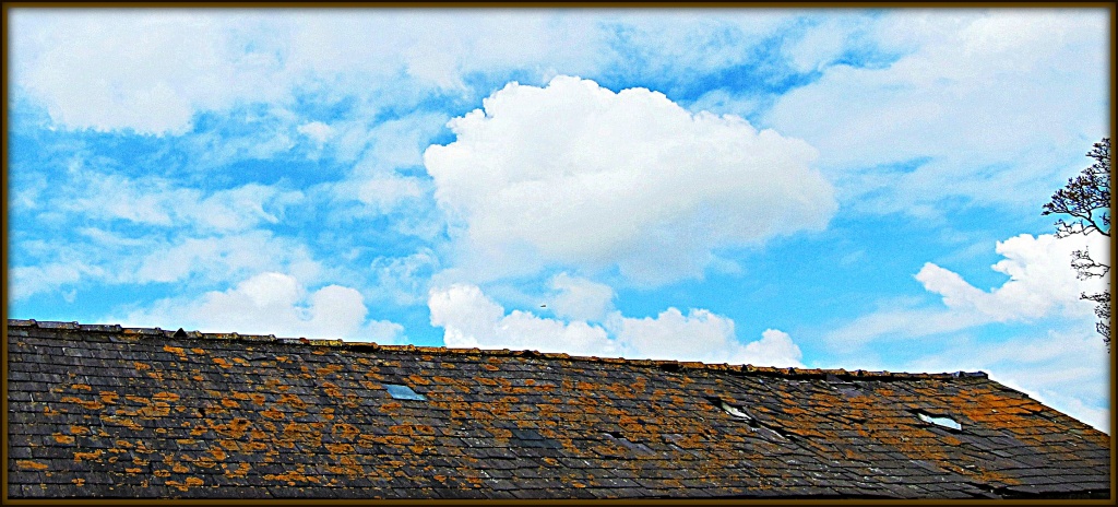 Roof Line. by happypat
