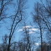 Blue sky by bruni