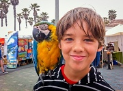 21st Apr 2012 - ♫ Mr. Bluebird's on My Shoulder