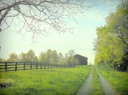 24th Apr 2012 - Country Road