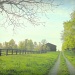 Country Road by cindymc