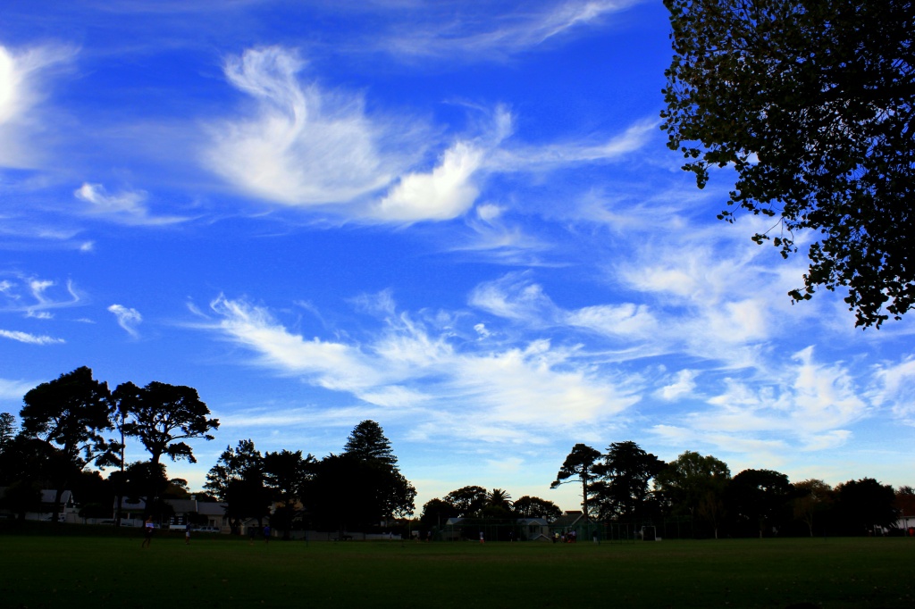 Weather forcasting by eleanor