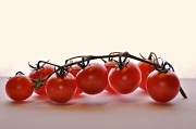 24th Apr 2012 - Day 29 Tomato 