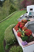 24th Apr 2012 - Backyard in spring!