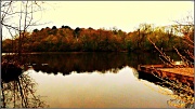 25th Apr 2012 - Shipley Lake