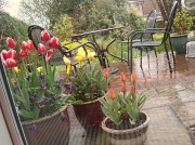 25th Apr 2012 - My view of the weather today