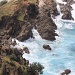 Julian Rocks, Byron Bay by sugarmuser
