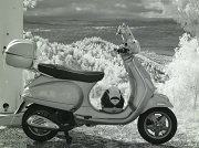24th Apr 2012 - The pink Vespa goes infrared
