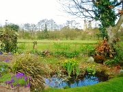18th Apr 2012 - In an English Country Garden...