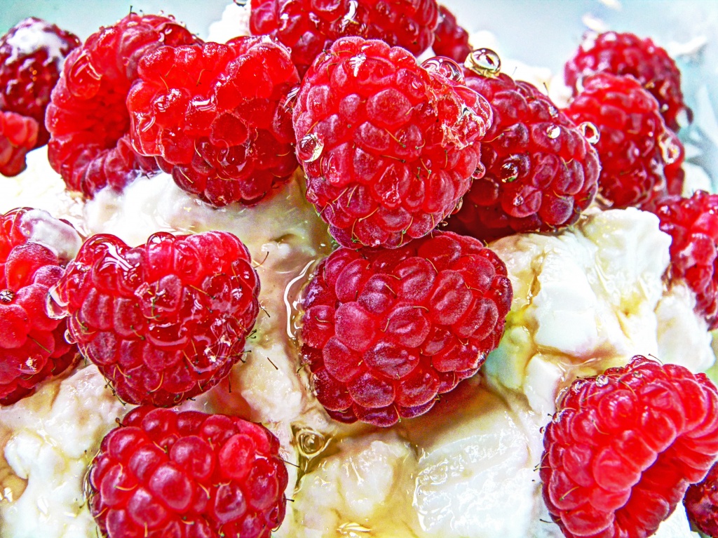 raspberries, honey and greek yoghurt by jantan