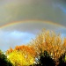 Boosted Rainbow by filsie65