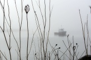 25th Apr 2012 - Morning fog.