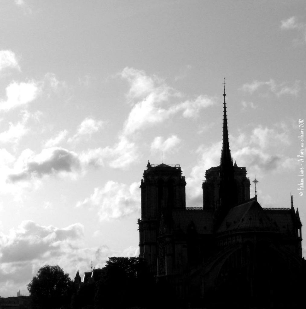 Notre Dame de Paris from the car by parisouailleurs