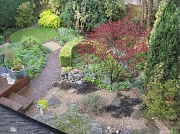 26th Apr 2012 - back garden