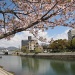 Hiroshima - the Peace Park by busylady