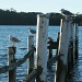 Our Jetty Now by wenbow