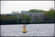 26th Apr 2012 - Lake Lenape and Factory
