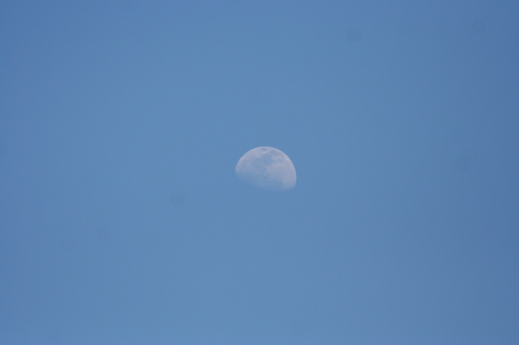 I see the moon by tara11