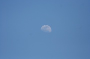 25th Apr 2012 - I see the moon