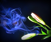 27th Apr 2012 - Where there's smoke....