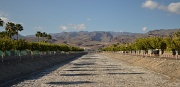 22nd Apr 2012 - Dry river bed