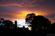 27th Apr 2012 - sunrise on ANZAC day