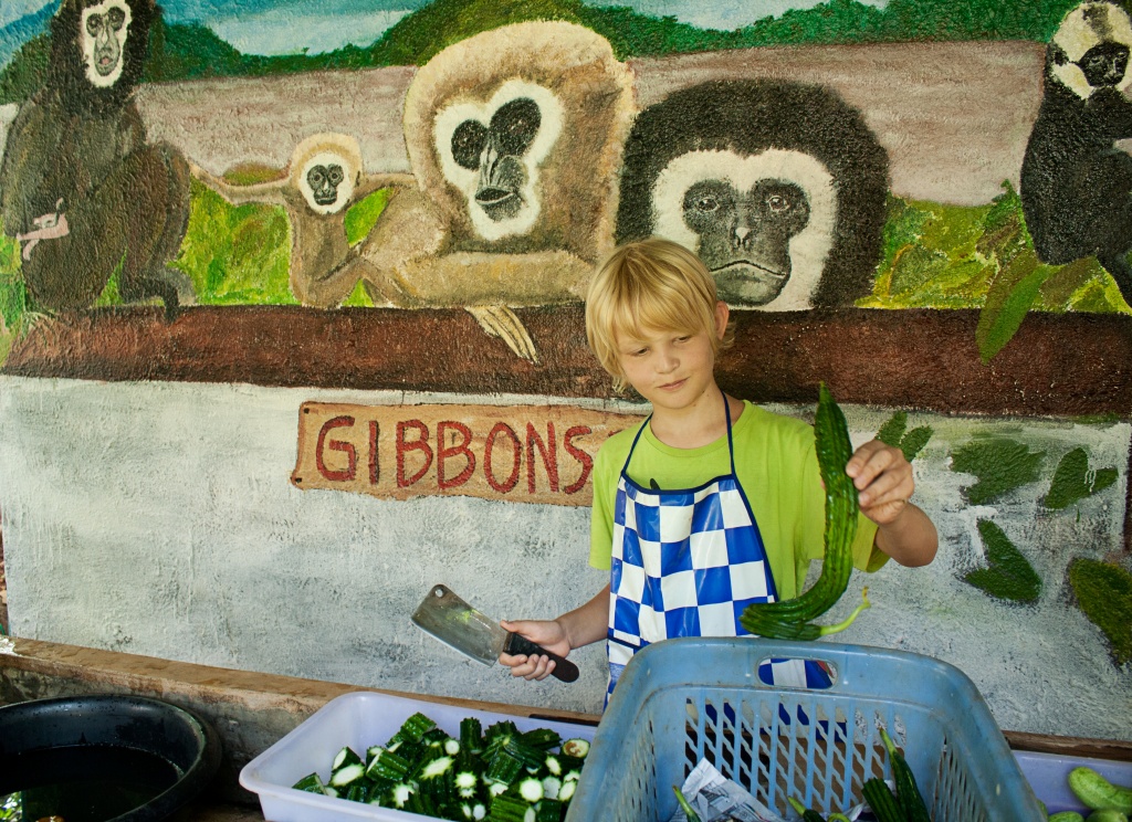 Gibbon dinner in the making by lily