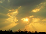 27th Apr 2012 - Golden Rays