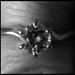 BnW Gails Engagement Ring by hjbenson