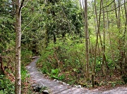 27th Apr 2012 - Path Taken