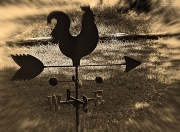 27th Apr 2012 - Ye Olde Weather Vane...