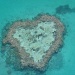 Heart reef by sugarmuser