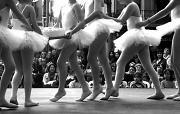 27th Apr 2012 - Semana de la danza