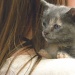 Kitten on Shoulder 4.26.12 by sfeldphotos